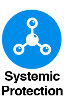 systemic systemic